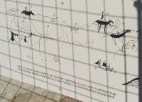 Albums/20060200-New Zealand 2006/20060316-Twiz/33